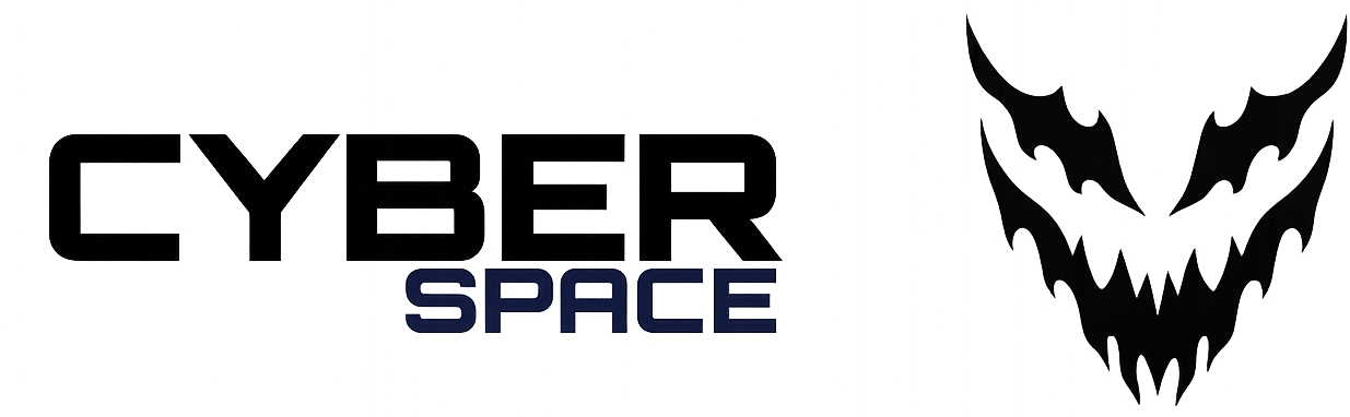 CYBER SPACE